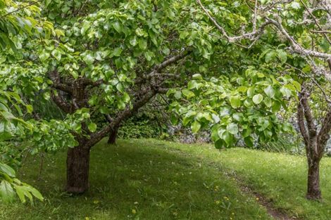 Photo of property in 25 Kotare Street, Waikanae, 5036