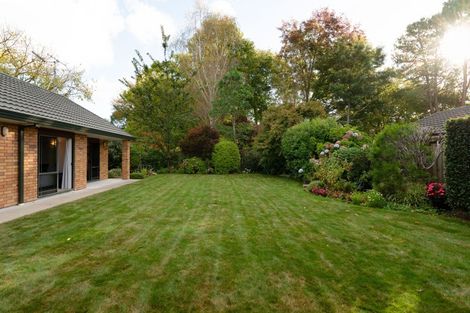 Photo of property in 45 Canaandale Drive, Flagstaff, Hamilton, 3210