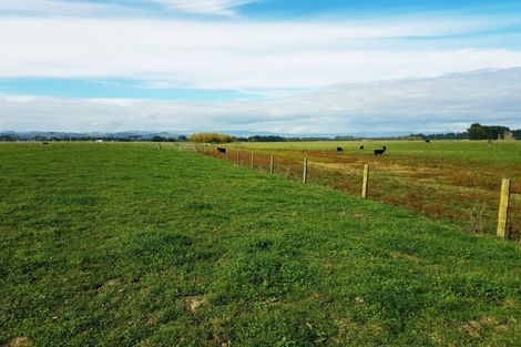 Photo of property in 221 Troup Road, Woodville, 4999