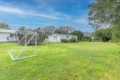Photo of property in 43 Kawiu Road, Levin, 5510