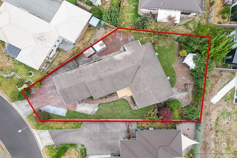 Photo of property in 31 Hastings Place, Hamilton Lake, Hamilton, 3204