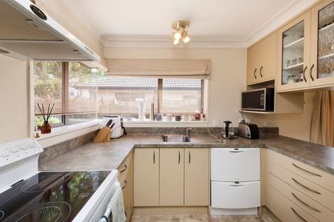 Photo of property in 417 Ruahine Street, Terrace End, Palmerston North, 4410