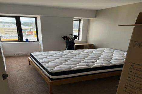 Photo of property in St Peters Apartments, 8c/192 Willis Street, Te Aro, Wellington, 6011