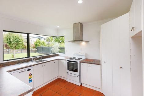Photo of property in 25 Vista Drive, Feilding, 4702