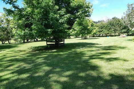 Photo of property in 323c Waikawau Beach Road, Waikawau, Coromandel, 3584