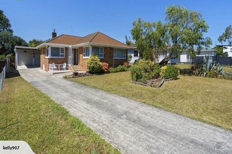 Photo of property in 60 Mclean Avenue, Papatoetoe, Auckland, 2025