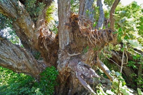 Photo of property in 27 Boulder Bay Drive, Tuateawa, Coromandel, 3583