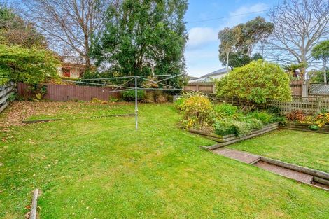 Photo of property in 49 Chapman Street, Wakari, Dunedin, 9010