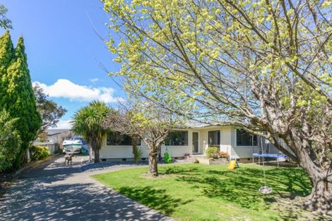 Photo of property in 51 Downing Avenue, Pirimai, Napier, 4112