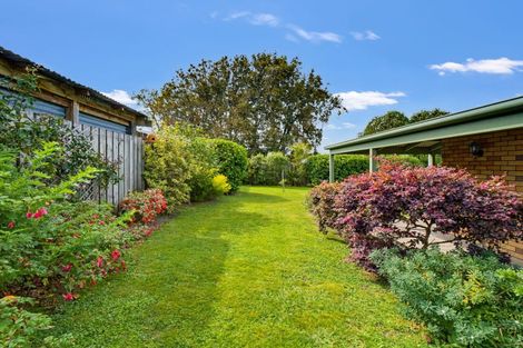 Photo of property in 5 Wilson Place, Marton, 4710