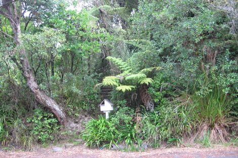 Photo of property in 59 Tanekaha Road, Titirangi, Auckland, 0604