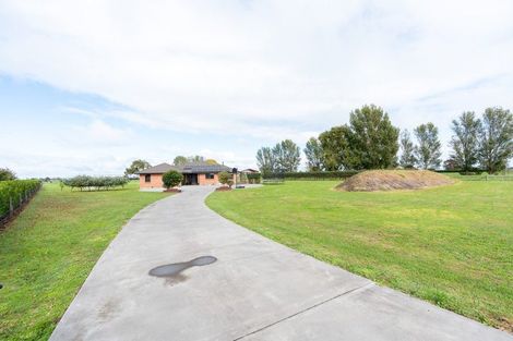 Photo of property in 294 Piako Road, Gordonton, Hamilton, 3281