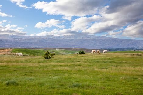 Photo of property in 25 Scrubby Gully Road, Waikerikeri, Alexandra, 9393