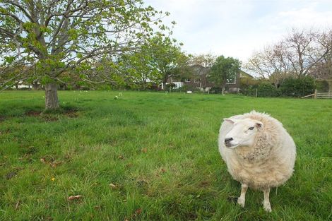 Photo of property in 70 Halstead Road, Pleasant Point, 7903