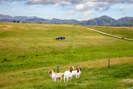 Photo of property in 25 Scrubby Gully Road, Waikerikeri, Alexandra, 9393