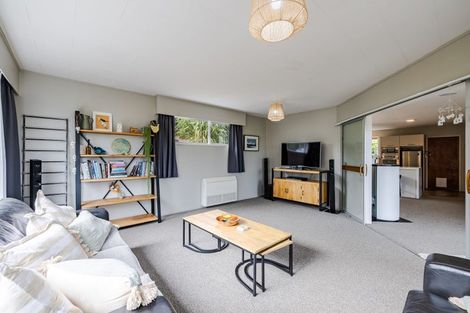 Photo of property in 33 Elliffe Place, Shiel Hill, Dunedin, 9013