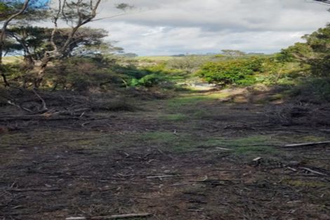 Photo of property in 119 Cable Bay Block Road, Cable Bay, 0420