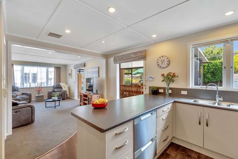 Photo of property in 25 Kettle Avenue, Awapuni, Palmerston North, 4412