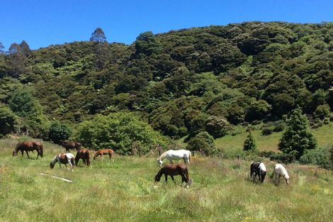 Photo of property in 445 Bird Road, Clifton, Takaka, 7183