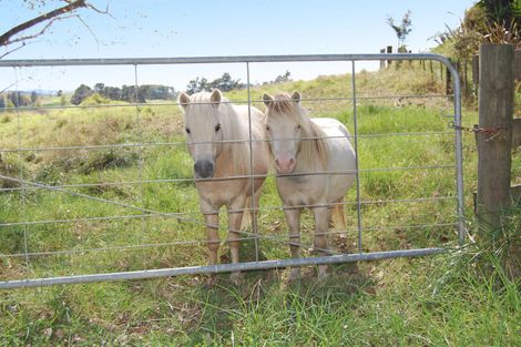 Photo of property in 10 Rangiora Road, Kaiwaka, 0573