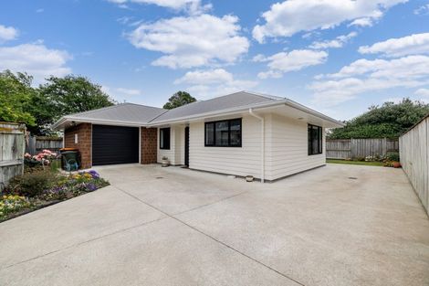 Photo of property in 87a College Street, Awapuni, Palmerston North, 4412