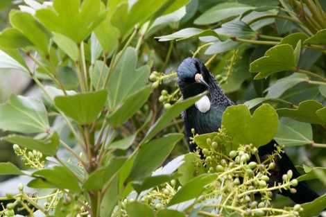 Photo of property in 20b Grand Vue Road, Kawaha Point, Rotorua, 3010