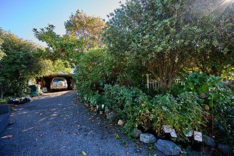 Photo of property in 223 Beach Road, Kaikoura, 7300