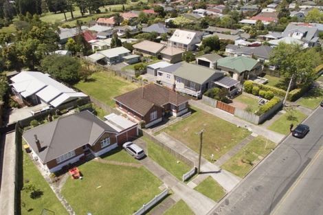 Photo of property in 76 Astley Avenue, New Lynn, Auckland, 0600