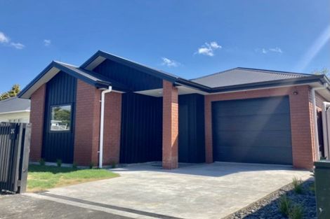 Photo of property in 2c Carey Street, Maeroa, Hamilton, 3200