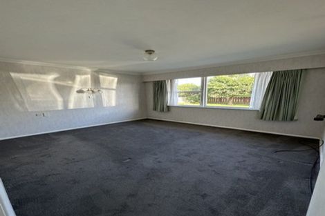 Photo of property in 20 Burn Street, Levin, 5510