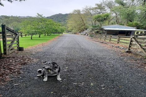 Photo of property in 189 Omaha Valley Road, Big Omaha, Warkworth, 0985