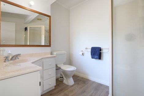 Photo of property in 55 Kings Avenue, Matua, Tauranga, 3110