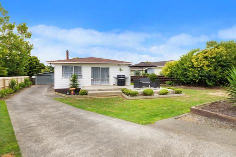Photo of property in 55 Boundary Road, Opaheke, Papakura, 2113