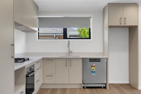 Photo of property in 42 Ladeira Place, Fitzroy, Hamilton, 3206