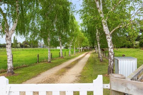 Photo of property in 252 East Taratahi Road, East Taratahi, Masterton, 5887