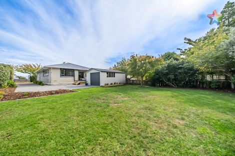 Photo of property in 44 Tutanekai Street, Paraparaumu, 5032