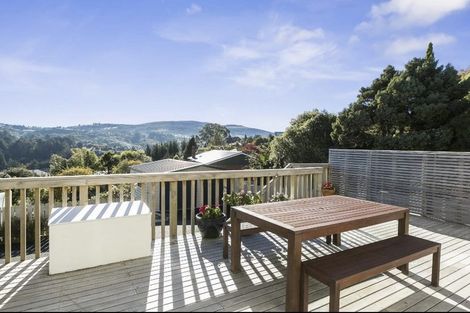 Photo of property in 50 Kenmure Road, Belleknowes, Dunedin, 9011