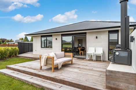 Photo of property in 60 Miro Street, Lansdowne, Masterton, 5810