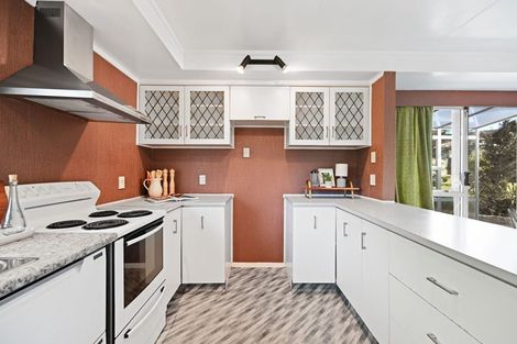 Photo of property in 17 Lancaster Street, Dinsdale, Hamilton, 3204