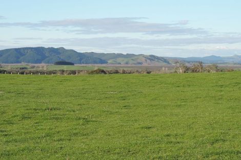 Photo of property in 84 Wattle Road, Whangamarino, Te Kauwhata, 3782