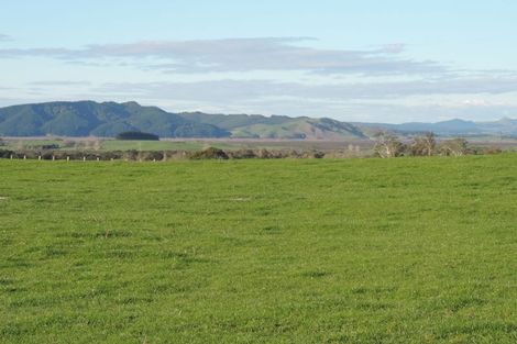 Photo of property in 84 Wattle Road, Whangamarino, Te Kauwhata, 3782
