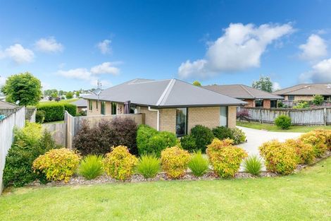 Photo of property in 207 Raeburne Street, Te Awamutu, 3800