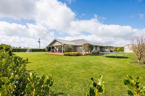 Photo of property in 25 Roots Street East, Feilding, 4702