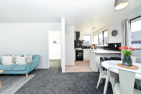 Photo of property in 14 Gillett Lane, Enderley, Hamilton, 3214