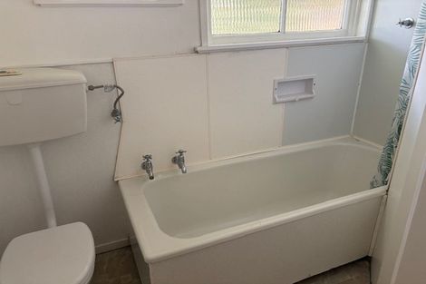 Photo of property in 55 Hutchinson Avenue, New Lynn, Auckland, 0600