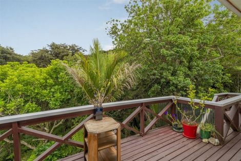 Photo of property in 23 Punga Place, Whitianga, 3510