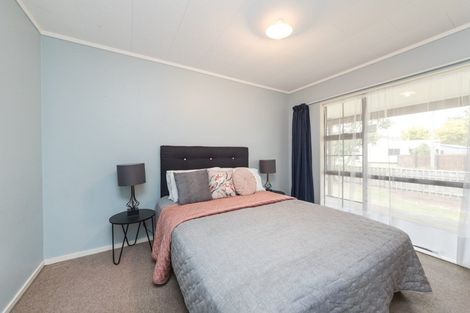 Photo of property in 249 Cambridge Avenue, Ashhurst, 4810