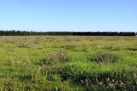 Photo of property in 535 Seadown Road, Seadown, Timaru, 7973