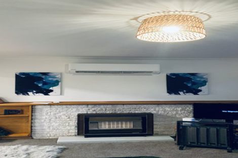 Photo of property in 91 Lewis Street, Glenview, Hamilton, 3206