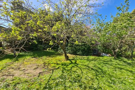 Photo of property in 2225 Tiki Sh25 Road, Preece Point, Coromandel, 3506